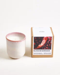 Motel a Miio Copa Alto Duftkerze Blossom Serenade rosa New