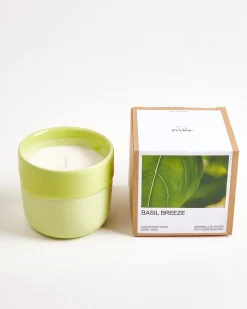 Motel a Miio Velar Duftkerze Box Basil Breeze lime Online